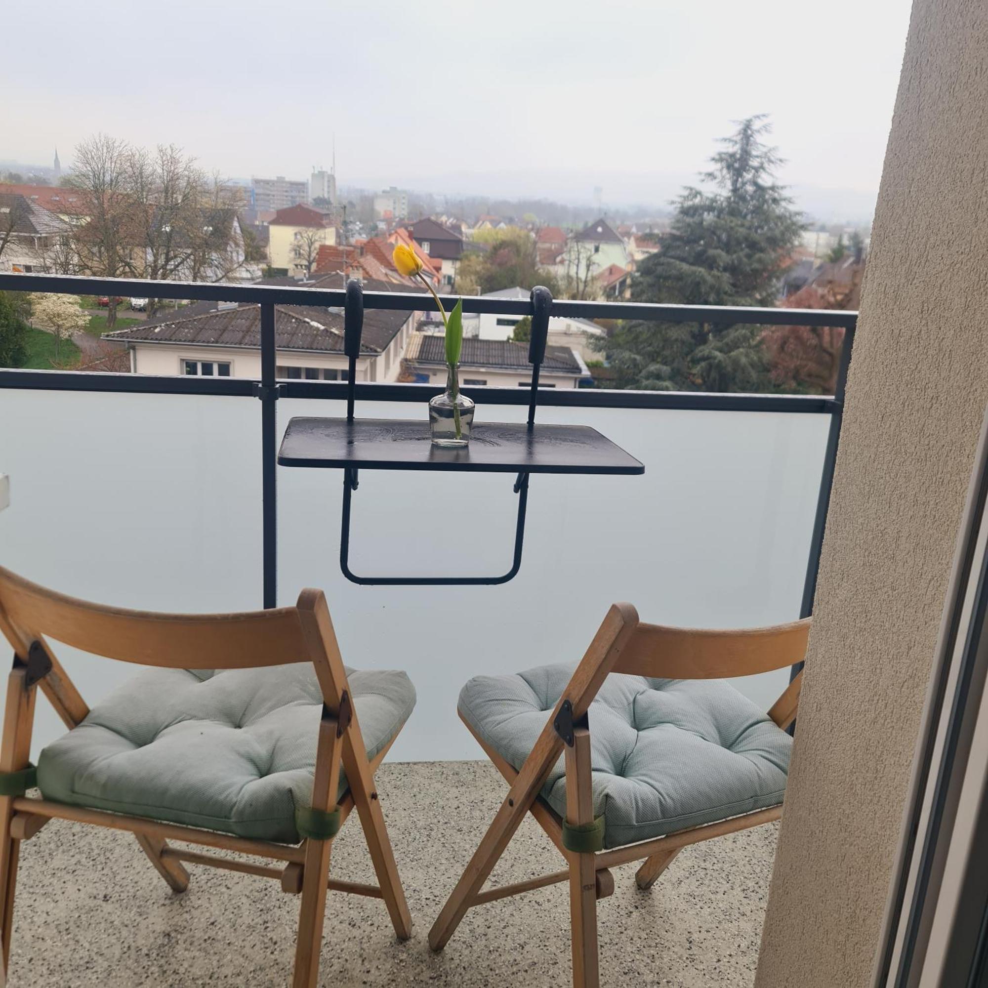 Studio Kaan Avec Terasse 5Mn Basel Airport Saint-Louis  Kültér fotó