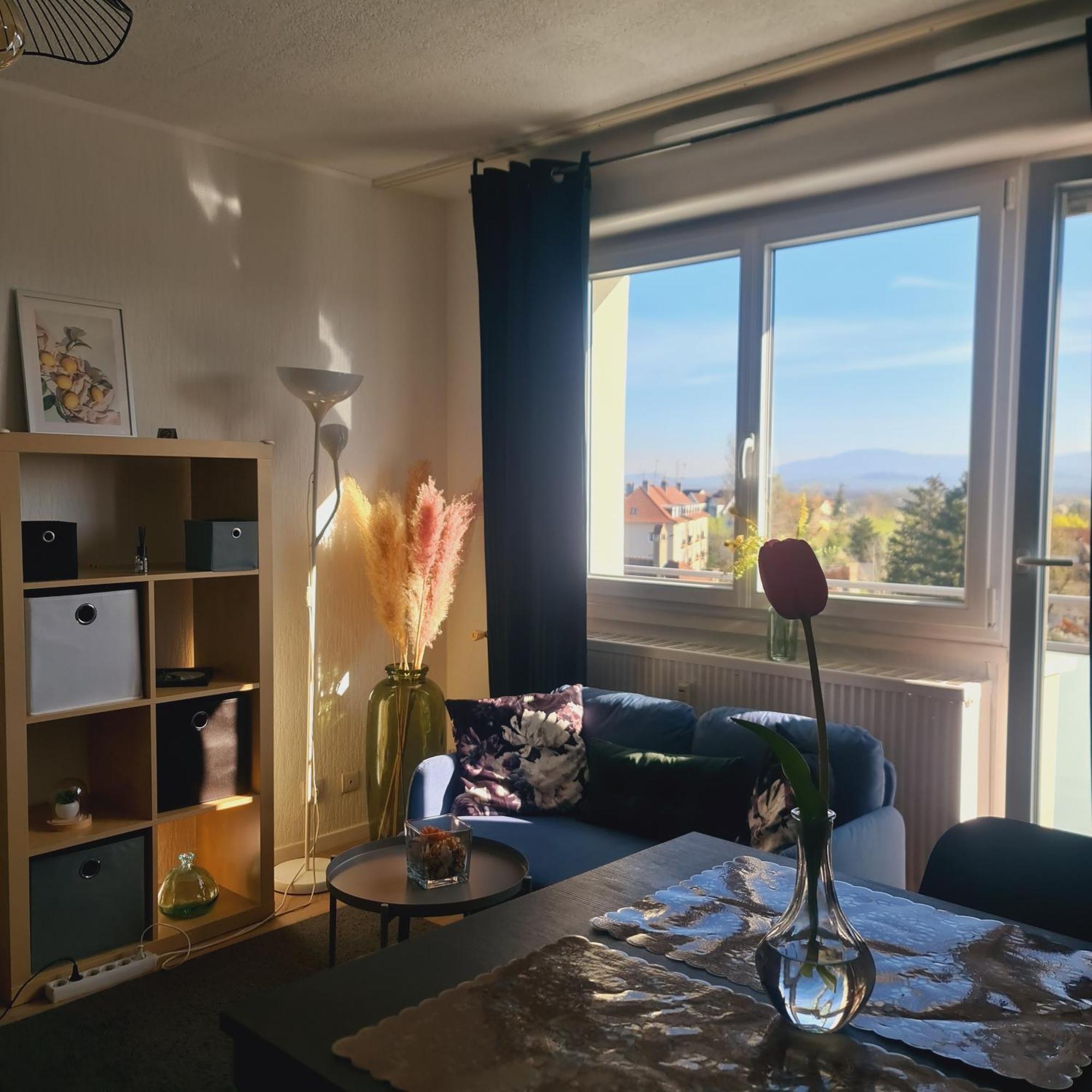 Studio Kaan Avec Terasse 5Mn Basel Airport Saint-Louis  Kültér fotó